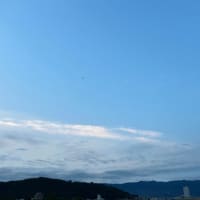 さてと・・・