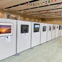 「ゴルフの聖地」から広げよう～市原の観光戦略と小湊鐵道写真展～