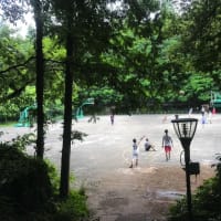 20140512 九溪 浙大之江 小游 
