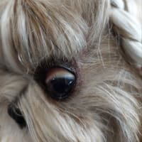 凛ちゃんの目も回復