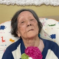 🌸母の日お祝い申し上げます🌸