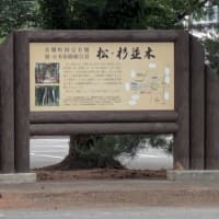 帰りのドライブ