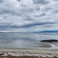 ラムサール湿地登録荒尾海岸の夏雲・・・2025年7月