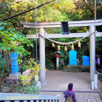 江ノ島「児玉神社」が閉鎖の危機！！