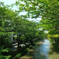 岐阜・富山・福井・滋賀の旅⑥