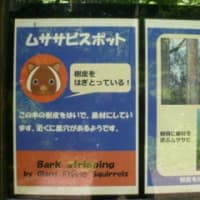 多摩森林科学園・・・東京都八王子市