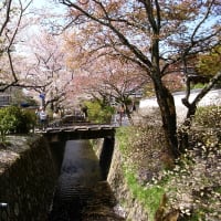 京都写真（小川）