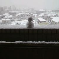 １年前も同じなのねん。本当に一向に生活は楽にならんのう・・・。