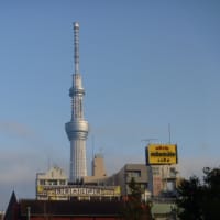 今年の思い出