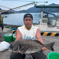 8月４日　イカダ釣り釣果