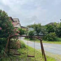 初めて見る花です