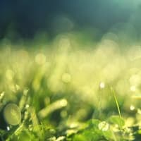 日々、些細なことに正直に