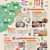 広報　ひがしみかわ　21号
