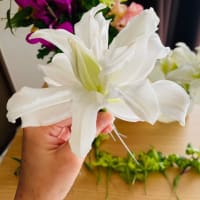 ★5年越しの願い叶えて