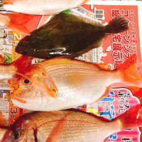 江見 新栄丸