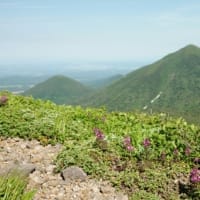 ２０２５年６月２８日　北八甲田　大岳　井戸岳のようす