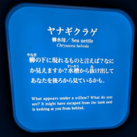 chatＧPT Ｇemini  Google pixelで 描いたクラゲの絵