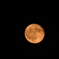 最も低い赤い十六夜…