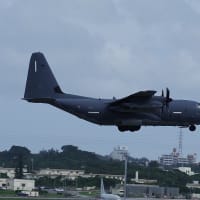F-35がバリバリでしたが、１機は全く別物だ（20250602-④）