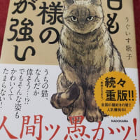 週末のおとも♪