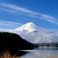 トミーの写真散歩！