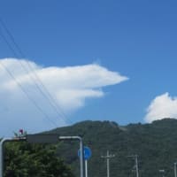 まだ少しだけ空きがある