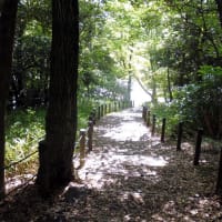 最近読んでいる本ーレ ミゼラブル３ Runrun日記