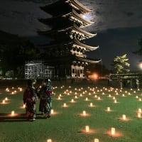 奈良燈火会