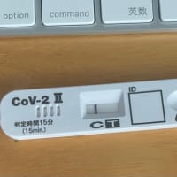 新型コロナあれこれ