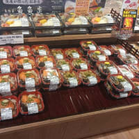 ペット専用登山カード（754回目）