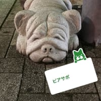 実はピアサポやってます