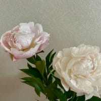 月涼し