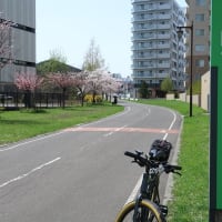 クロスバイクで「道道札幌恵庭自転車道線」(ボールパーク)に行ってみた