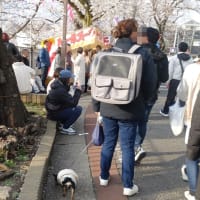 ター坊のお花見特集
