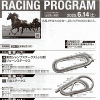 2025年　東京ジャンプS、函館スプリントS、三宮S、ジューンS　反省
