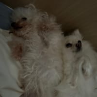 あなたの周りにはどんな方がいますか？