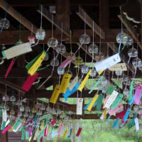 京都ちょこっと散歩～平安神宮神苑　風鈴祭り（完結編）