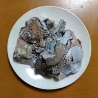 唐揚げ