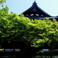 一番好きな季節-和歌山県岩出市：根来寺