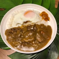 新潟バスセンターのカレーを作りました。