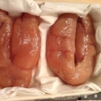 お料理
