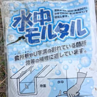 水路の補修