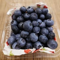 ブルーベリーを頂きました