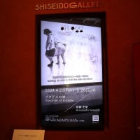 資生堂ギャラリーで、『ブタデスの娘／岩崎宏俊』を観ました。