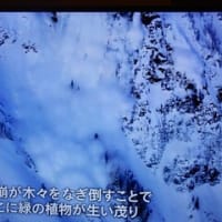 凄い光景「カナダ寒暖の奇観」よりP2
