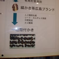 熱海土石流,前所有者捜査&台湾,米軍と訓練⁉&小池百合子入院&リニアで死傷者&オリックスも優勝っ‼&ヤマト,独共同EV車断念&西日本豪雨3年,広島編,日本三景宮島後、呉経由で江田島水産研へ・・