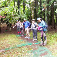 サンショウバラの湯船山に