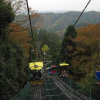 高尾山に紅葉を見に！　2014・11・17