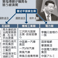 『腐敗官僚』『暴露愛人』『反腐敗キャンペーン』『おから工事』
