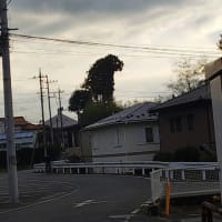 ゴジラ 